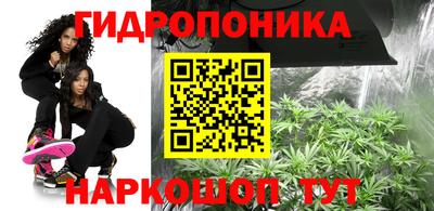 стаф Краснокаменск
