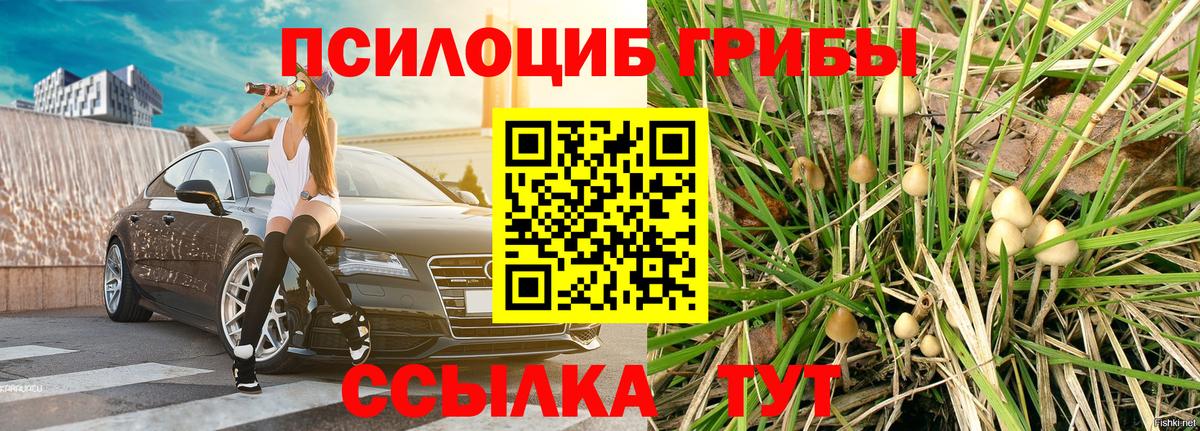 Псилоцибиновые грибы ЛСД  Галлюциногенные грибы прущие грибы  Вход с VPN  Кольчугино 