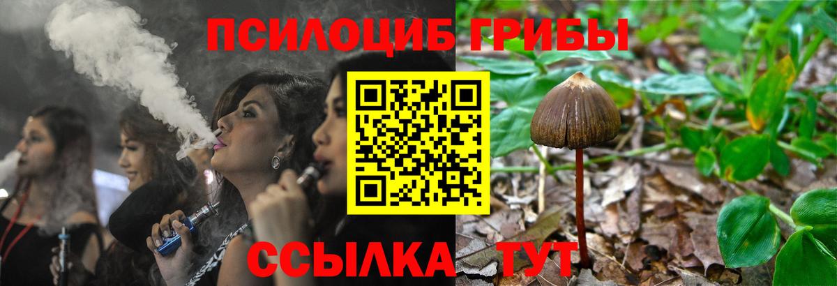 Кольчугино  ТГК  Вход с VPN  Alpha-PVP СК кристаллы  Лсд 25  КОКАИН  Марихуана  ГАШ  МЕФ кристаллы 
